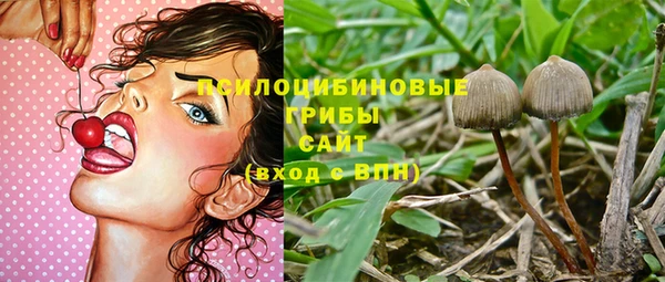 не бодяженный Медногорск