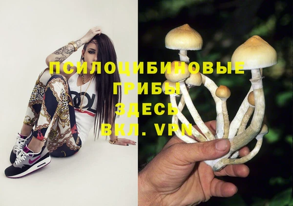 эйфоретик Медвежьегорск