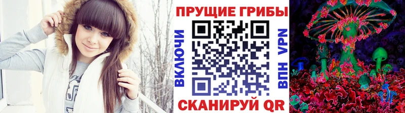 Галлюциногенные грибы MAGIC MUSHROOMS Купить Жигулёвск